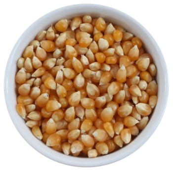 Popcorn kukurydza do prażenia